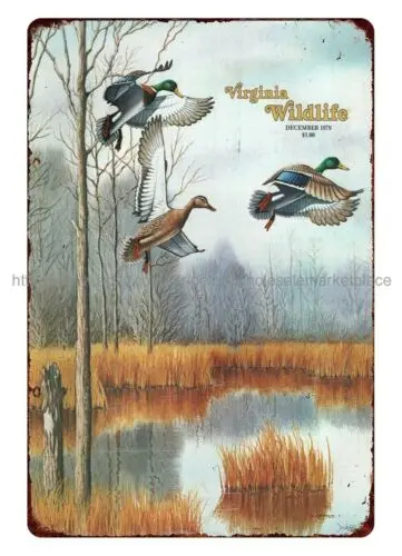 wall decor 1979 Virginia Wildlife Mag cover art mallard duck metal tin sign