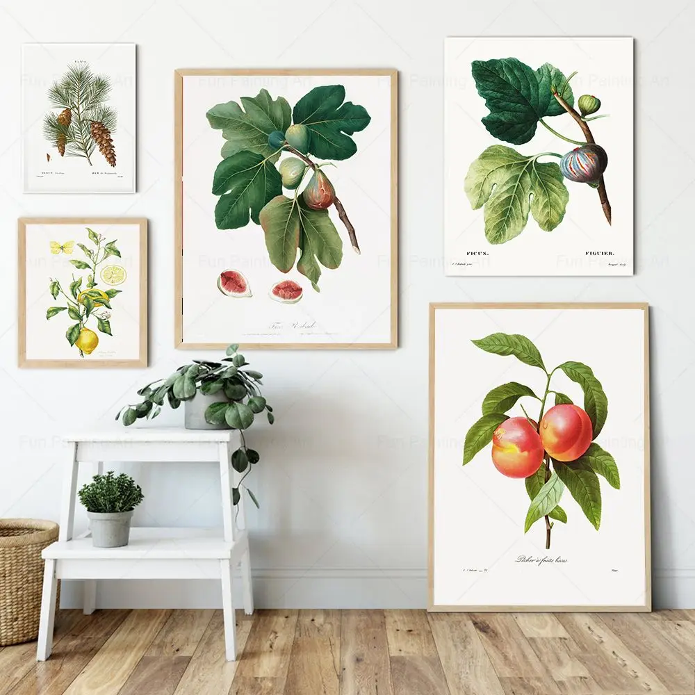 Vintage Fruit Poster Pinus Fig Peach Lemon Scandinavian Canvas Painting Retro Wall Art Prints for Kitchen Dining Room Home Decor
