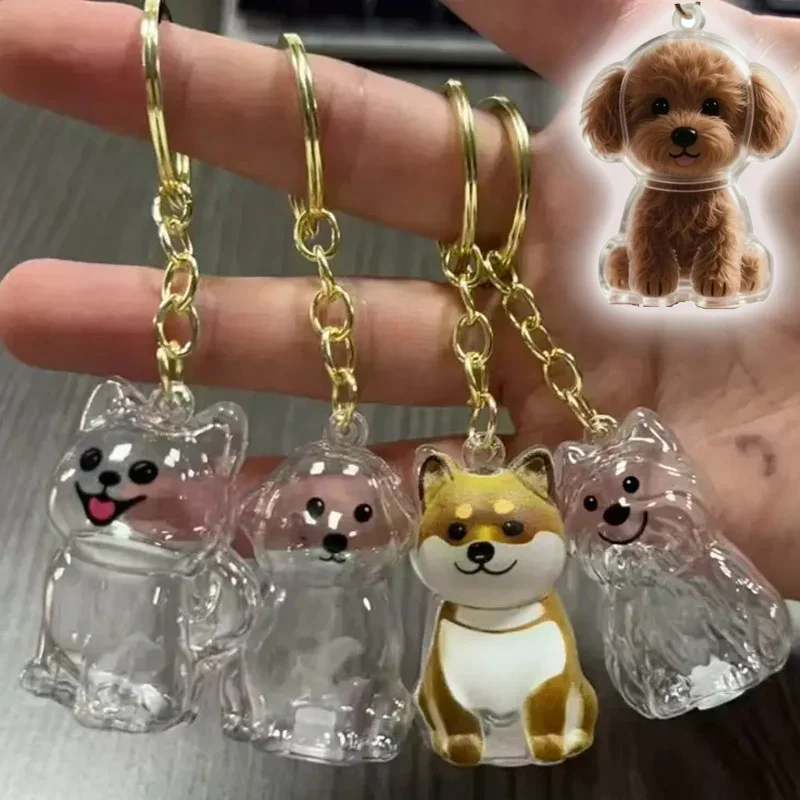 Dog Hair Storage Box Keyring Puppy Hair Memorial Keepsake Capsule Pet's Dog Fur Container Transparent Capsule Keychain Souvenirs