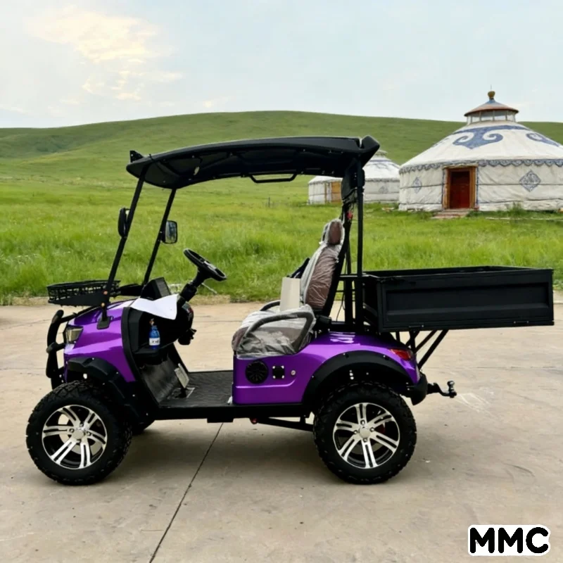 بيع المصنع مباشرة من MMC: عربة جولف ذات بطارية ليثيوم منخفضة السرعة بمقعدين #4