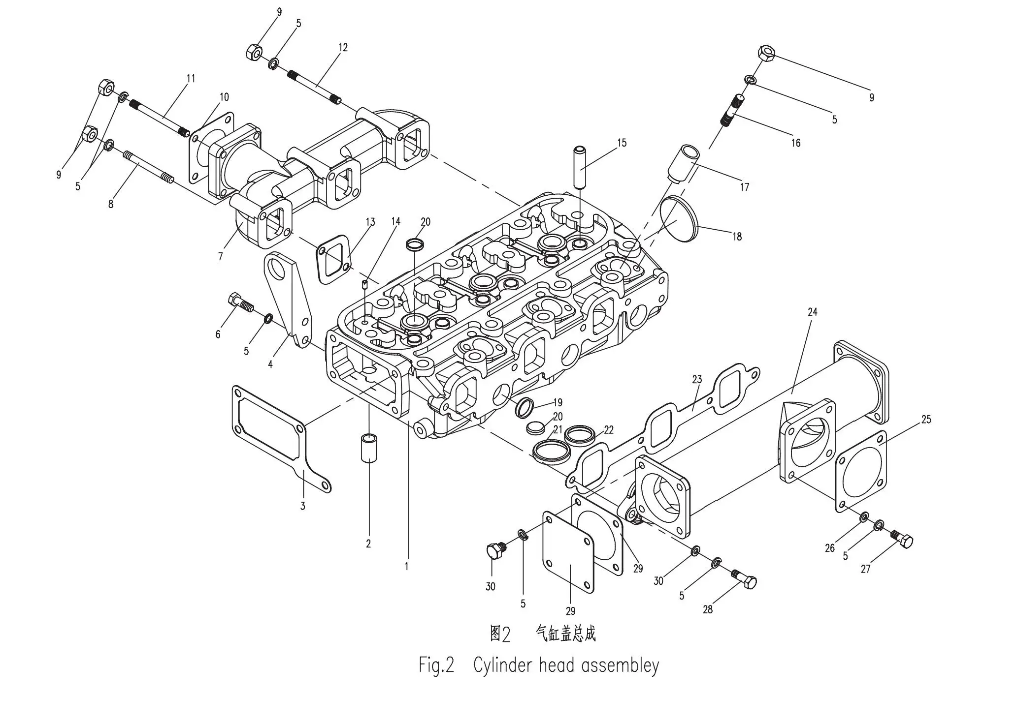 Fuel feeding pump for Changchai ZN390T/ ZN390Q / , Please check the shape when order