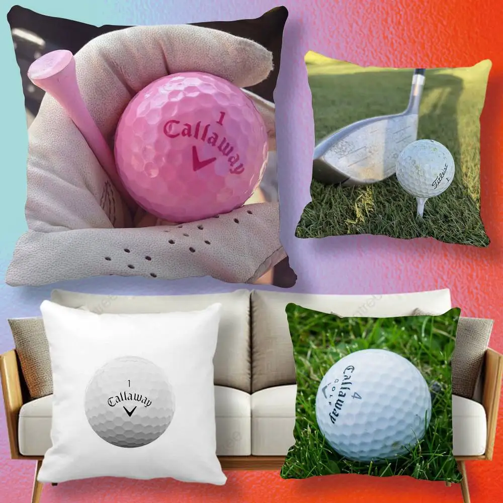 Figure Icon  Pillow cover gift High definition digital printing,Surprise vivid pattern Household.