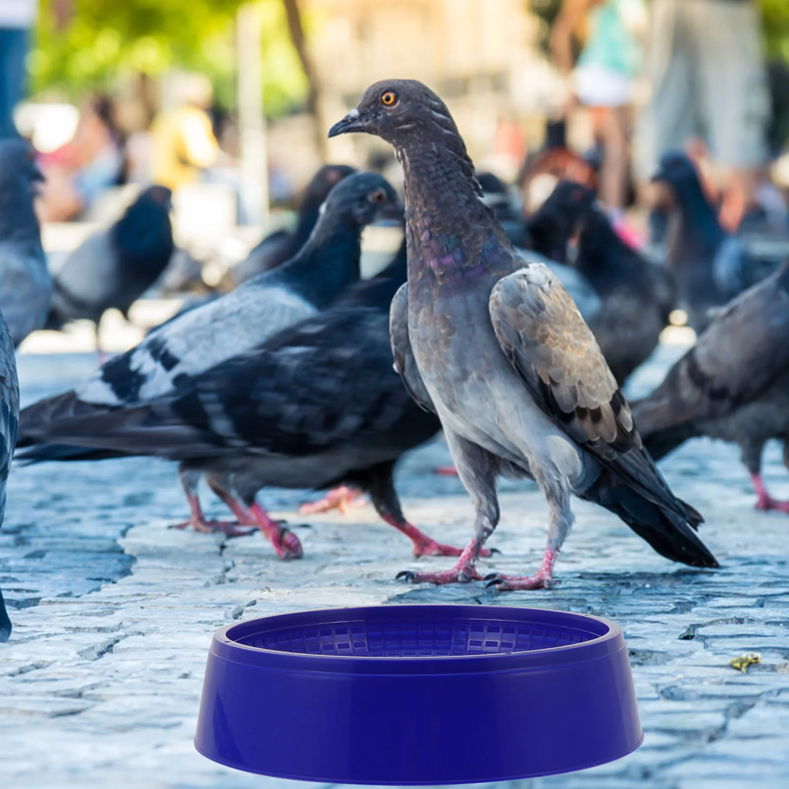 

3 Pcs Plastic Nest Bowl Large Capacity Lightweight for Pigeon Dove Quail Breeding Container Bird Supplies Incubate Nesting