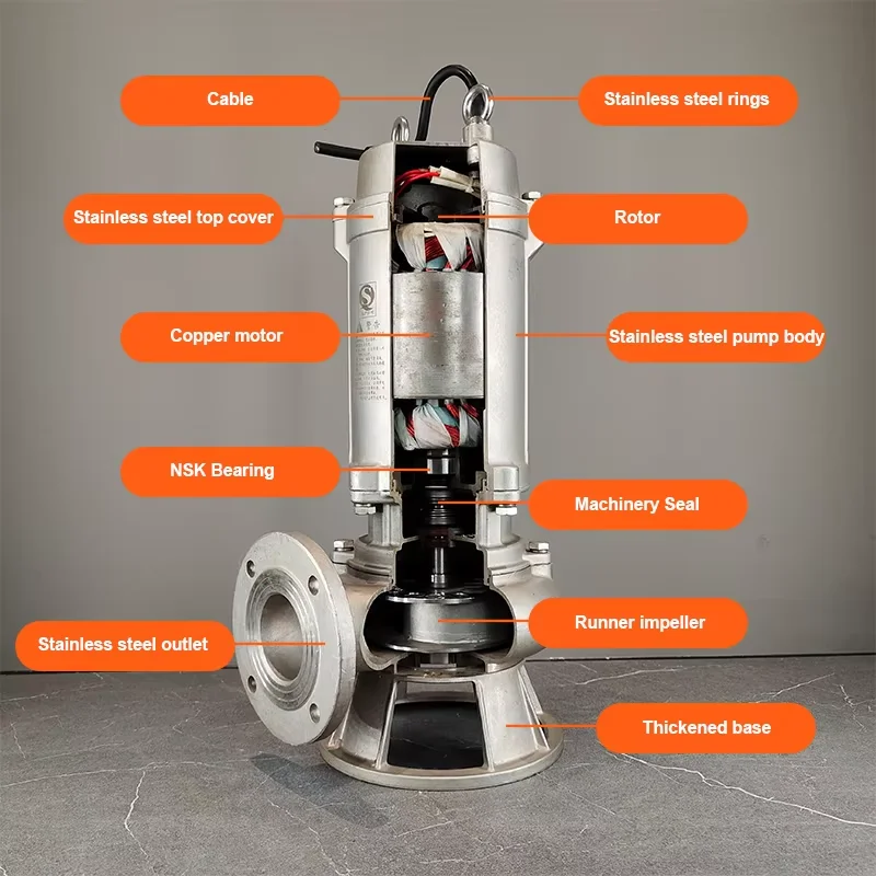 Amazing Slurry Pumps10 M3/H Rated Flow 10 M Rated Head Stainless Steel Sewage Pump Powerful Dirty Water Sewage Pump