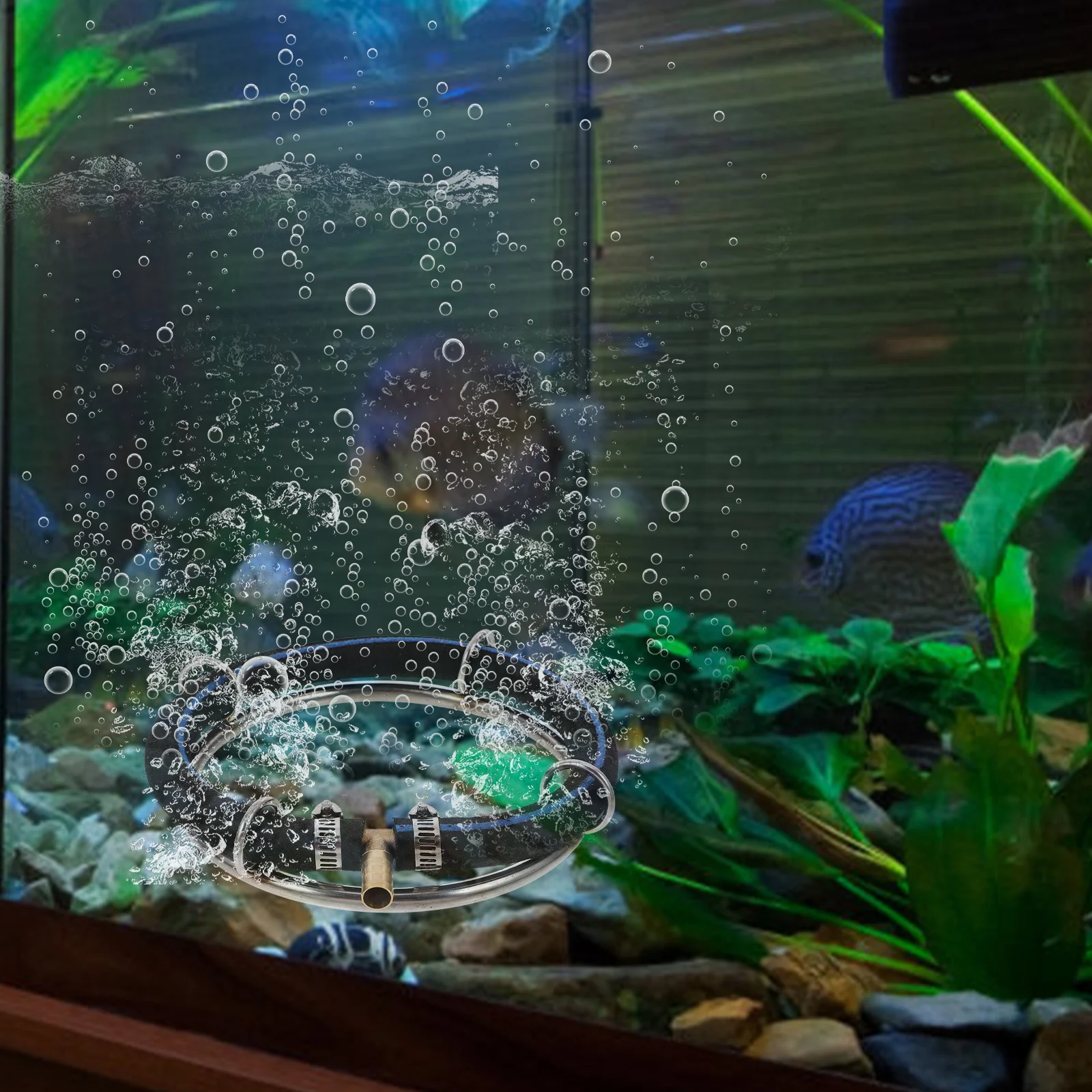 

Efficient Stainless Steel Bubble Ring for Aquarium Pond Oxygenation Air Pump Compatible Bubbler Diffuser Water Aerator