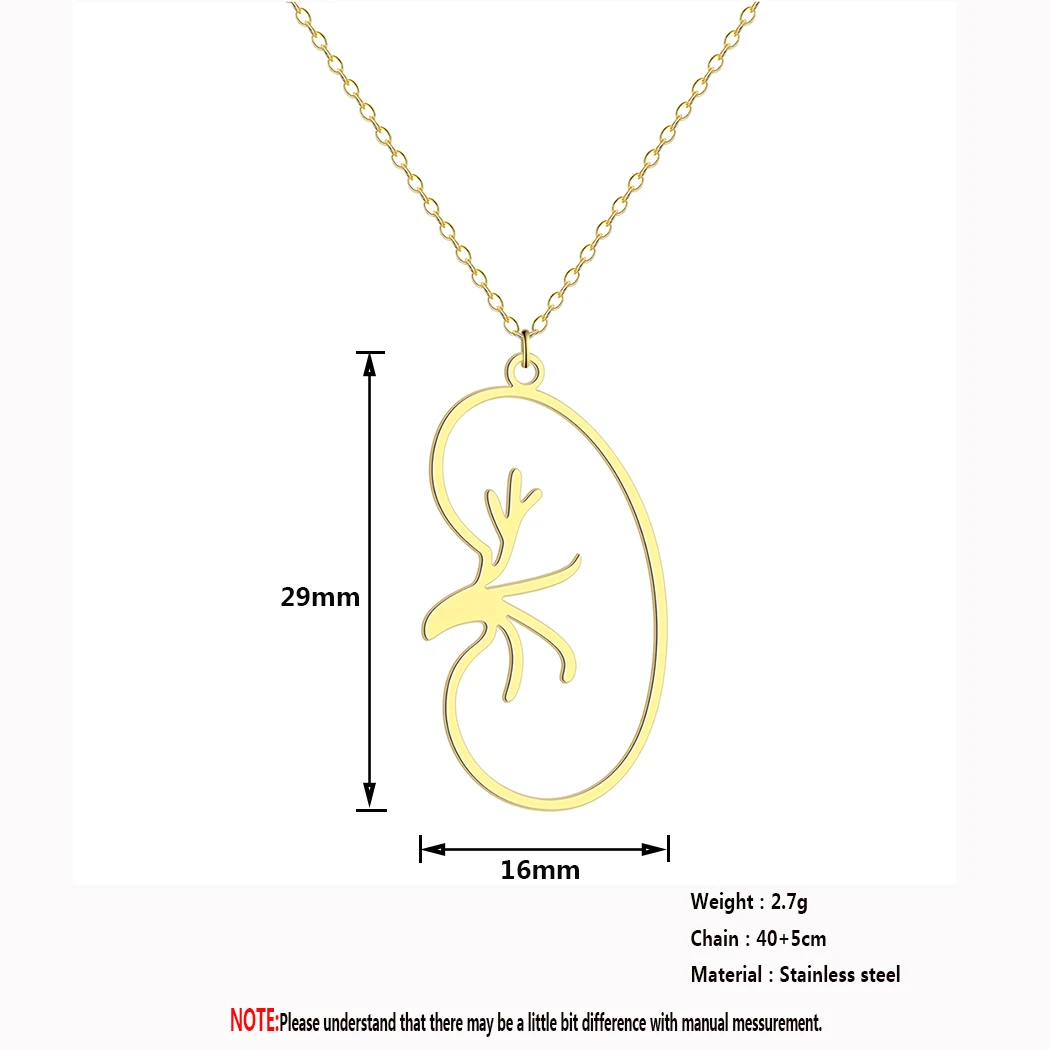 Kinitial Kidney Diseases Transplant Pendant Necklace Women Men Urologist Necklace Nephrologist Biology Jewelry