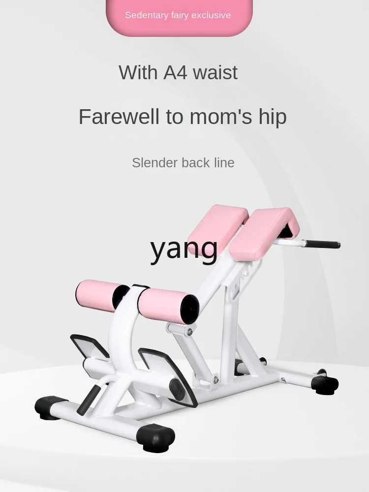 Yjq Commercial Roman Chair Back Hyperextension Multifunction Fitness Chair Waist Training Abdominal Fitness Equipment