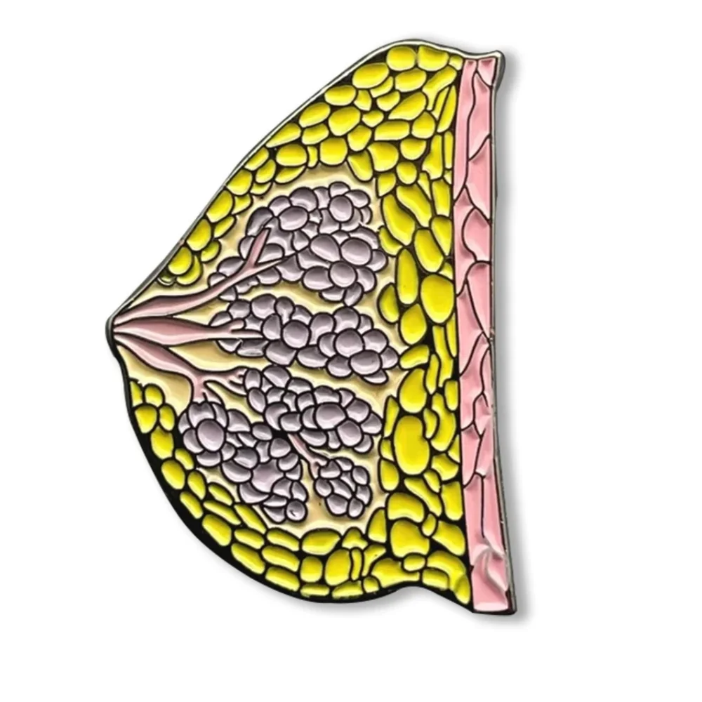 

Newest Medical Breast Brooch Quality Enamel Lapel Backpack Anatomy Pins Badge Jewelry Accessories for Doctor Medical Student