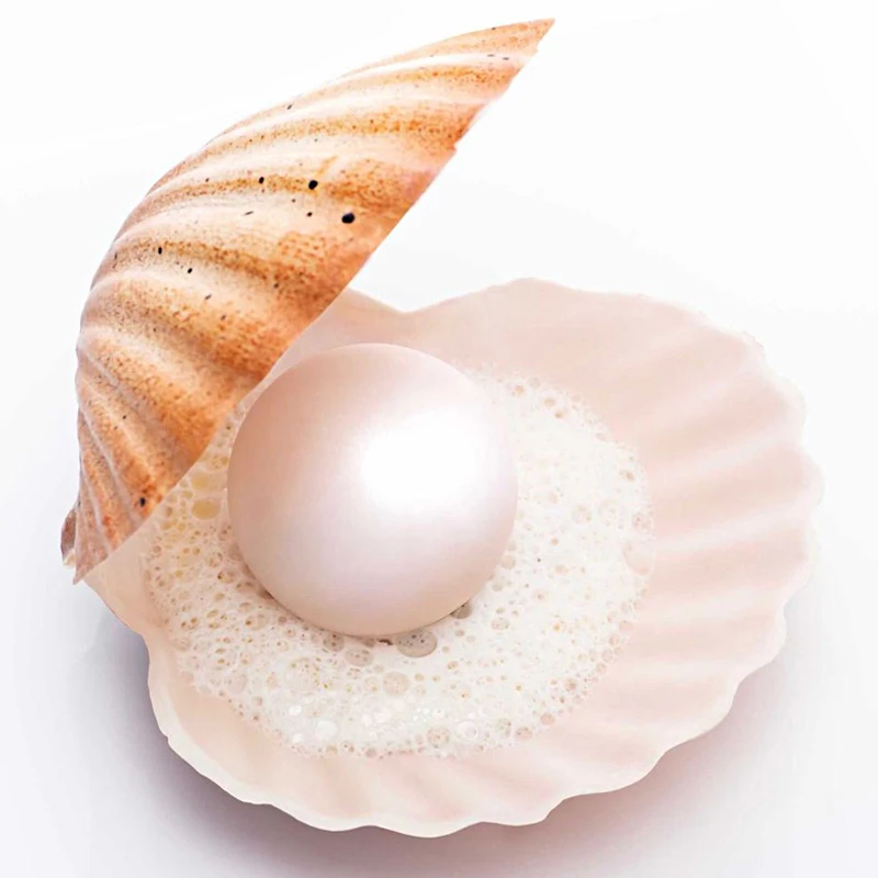 Meibum Marine Theme Cake Silicone Molds Shell Pearl Design Baking Mold Cake Decorating Tools Food Grade Kitchen Supplies