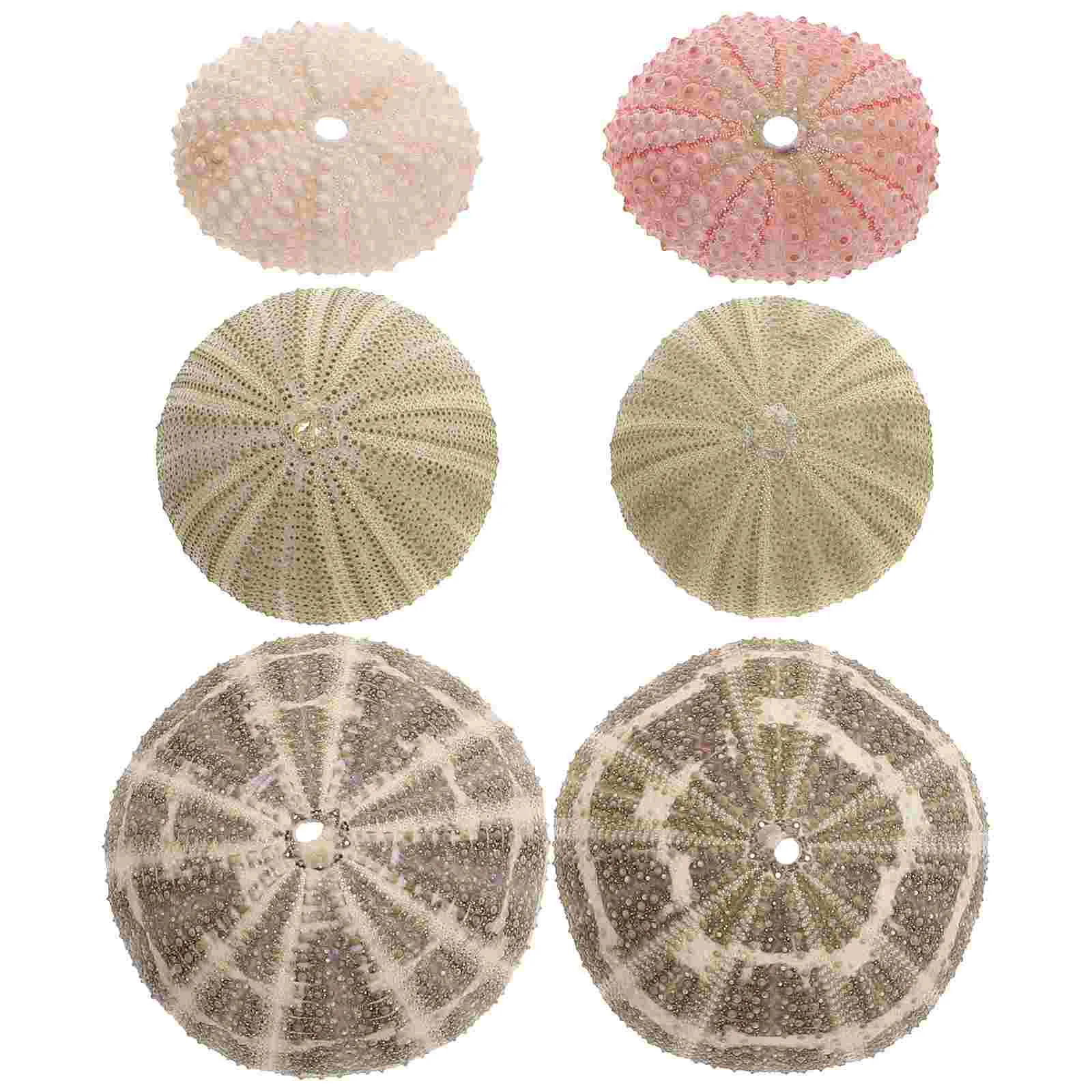 

6 Pcs Air Sea Urchin Shell with Pineapple Ocean Decor DIY Crafts Supply Accessories Coaster Holder