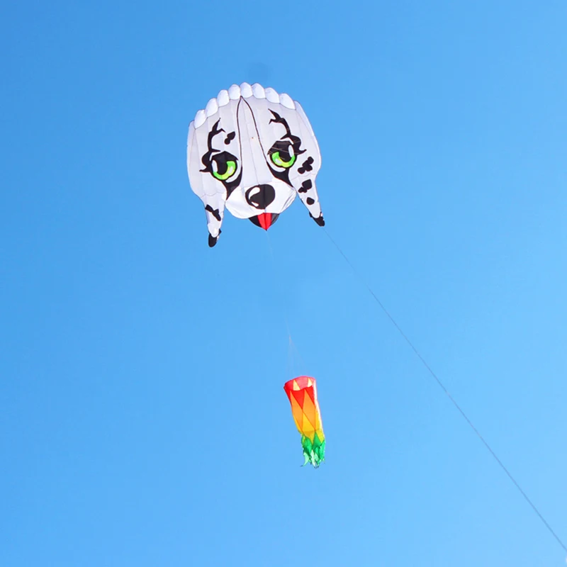 طائرة ورقية كبيرة الحجم تحلق طائرة ورقية احترافية مصنع المشي في السماء طائرة ورقية على شكل حيوانات ألعاب خارجية طائرة ورقية drachen aufblasbar طائرات ورقية ضخمة volantin #6