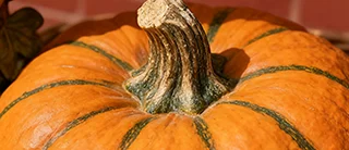 Ornamentos de Natal Presentes de fibra de vidro Mobiliário doméstico Grande cesta de frutas de resina