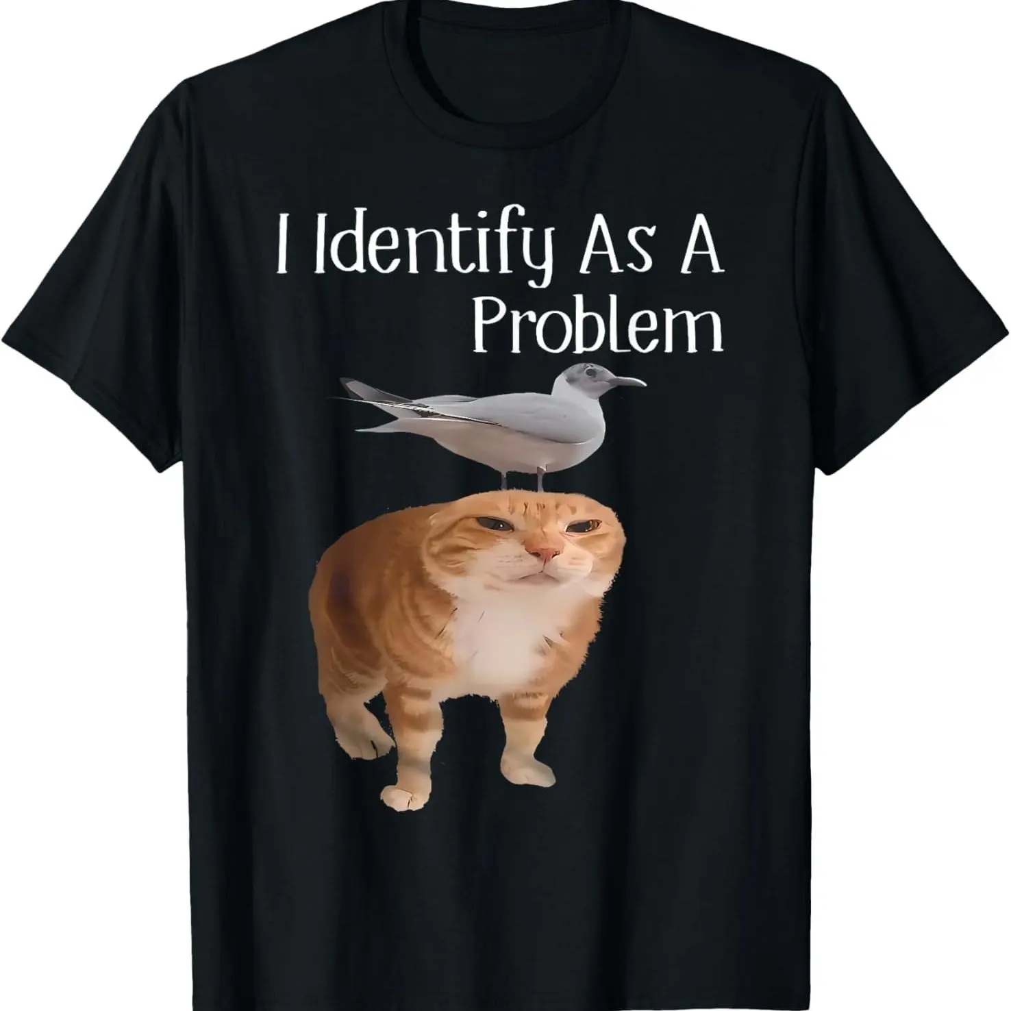 I Identify Myself As An Interesting Silly Cat T-shirt with A Round Neck and Casual Style for Both Men and Women