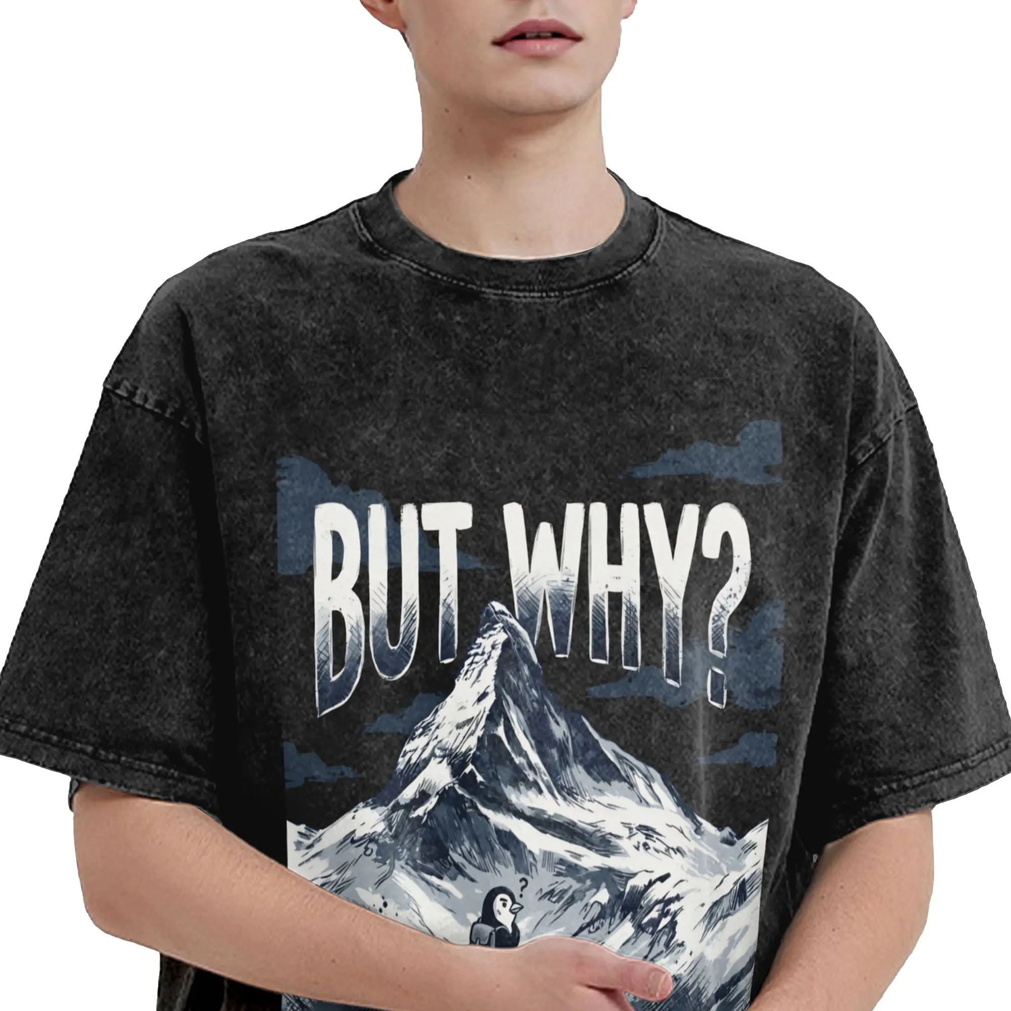 Nihilist-Penguin But Why T-Shirts for Men Funny Cotton Tees Crewneck Short Sleeve T Shirt Summer Clothing