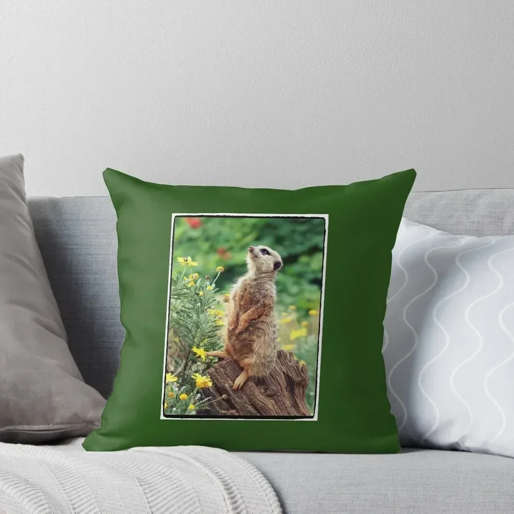 

meerkat magic Throw Pillow New year Pillow Covers Decorative home decor items Cushion Cover For Sofa pillow