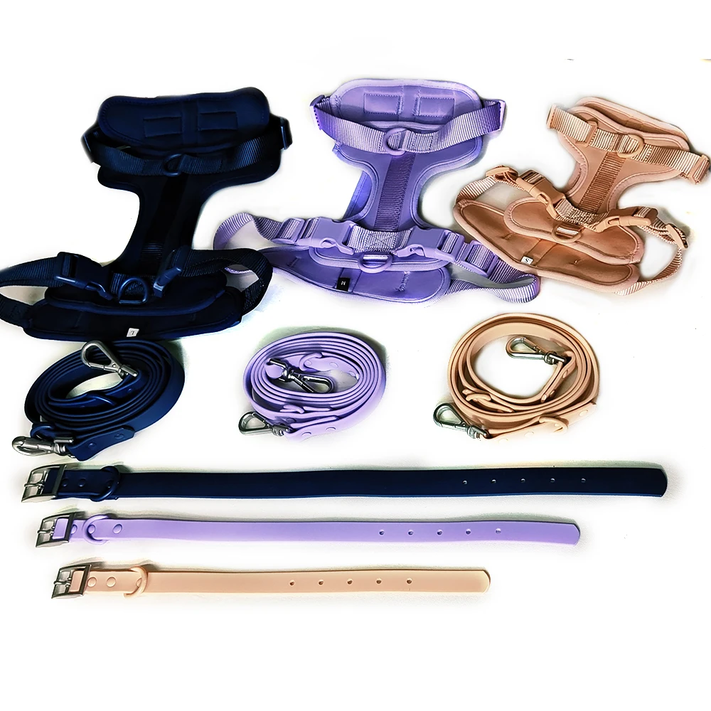 

Personalized Dog Harness Set Puppy Waterproof Dog Leash Pvc Pet Collar Leash Dog Training Walking