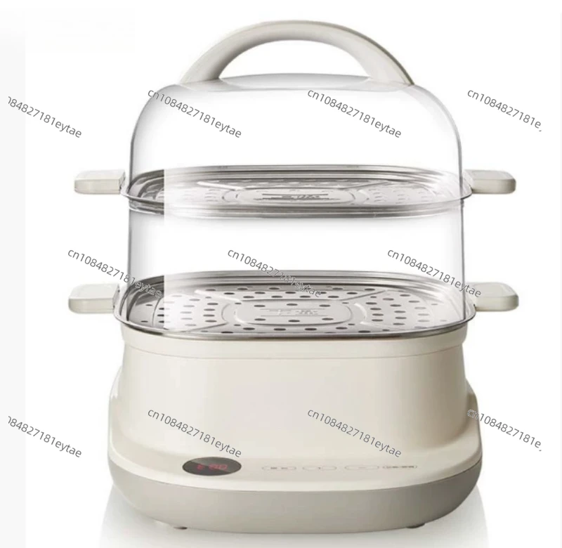 Electric Steamer DZ…