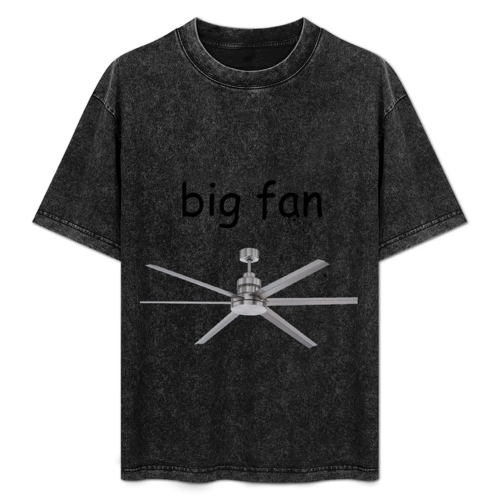 

big fan T-Shirt shirts graphic tees oversizeds sublime funny t shirts men
