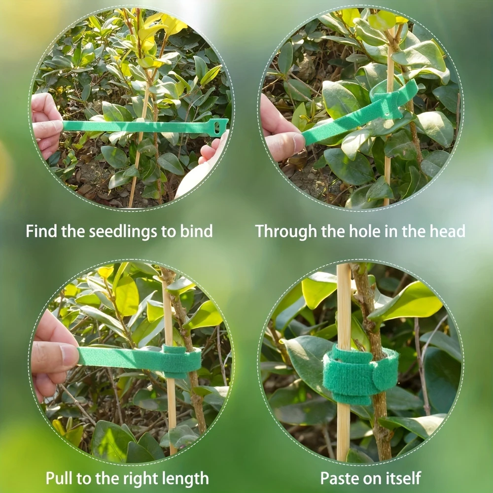 50/100pcs Adjustable Nylon Plant Ties Reusable Hook Loop Fastener Non Slip Garden Straps for Plant Fixing Climbing Support view 5