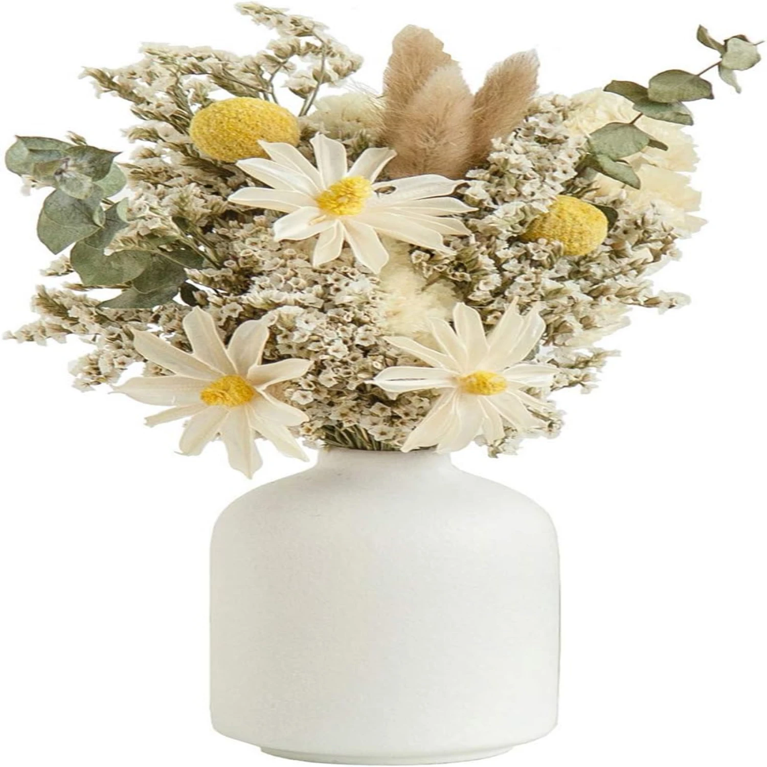 

Stylish Ceramic Vase for Dried Flowers - Elegant Decoration Props