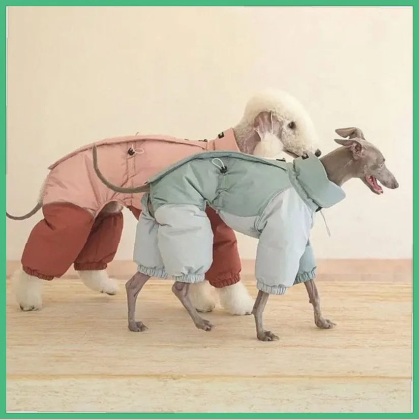 Windproof Dog Winter Coat, Cold Weather Snowsuit with Color Blocks for Small Medium Dogs (Characters: 74)