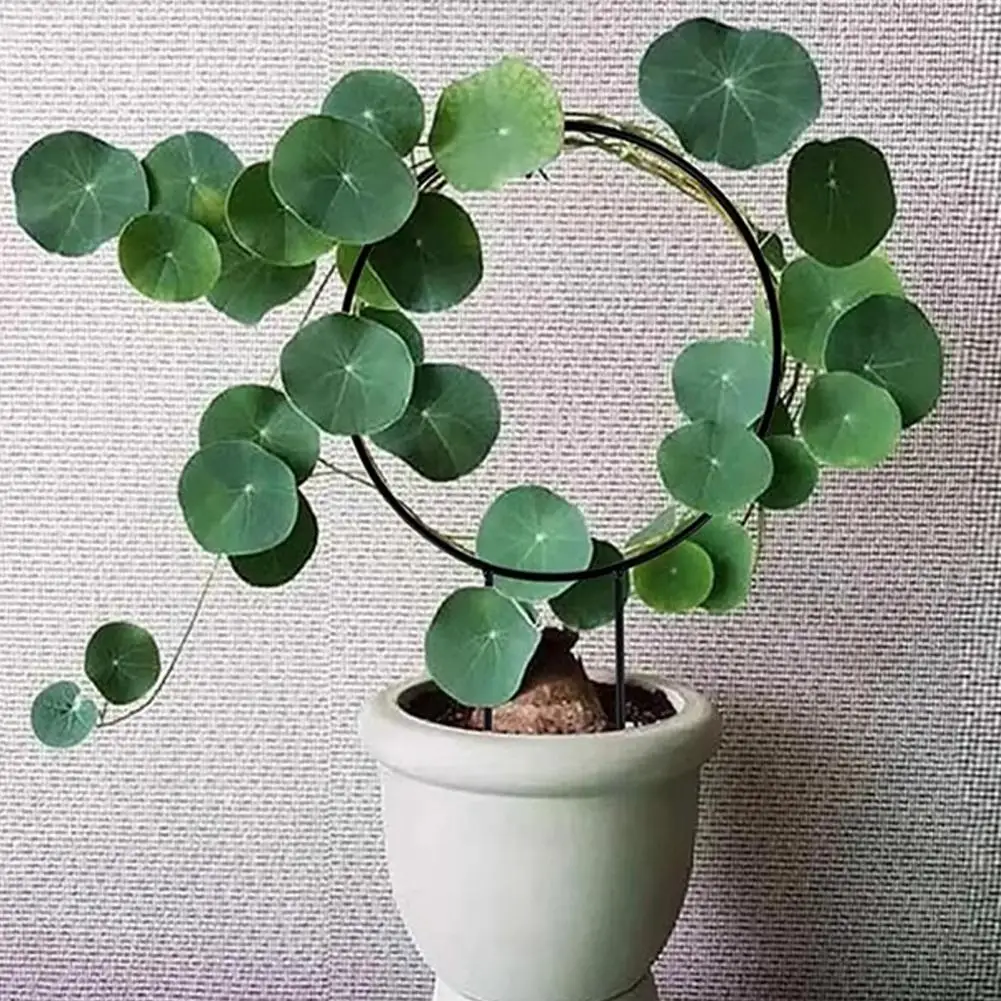 Climbing Plant Support Vine Leaf Trellis Heart Shape Trellis Planter Insert for Climbing Plants for Flowers for Houseplants