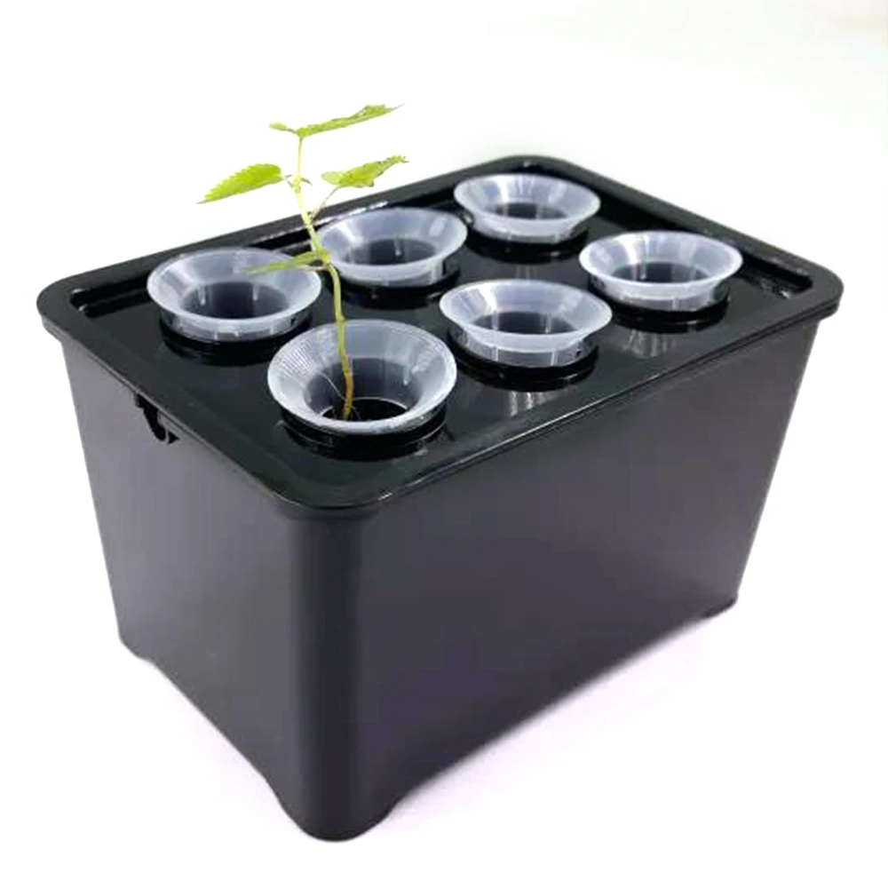 White/Black Hydroponic Grow System Hydroponic Box 6-Hole Nursery Pot for Garden Indoor Plants Vegetable Soilless Culture Planter