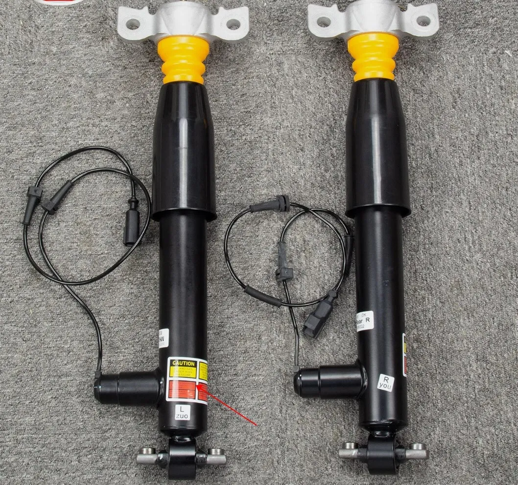 EG9Z18125B, EG9Z18125C EG9Z18125D, ASH24651 2 pièces amortisseurs arrière L + R pour Lincoln MKZ 2013-2020 gaz électrique