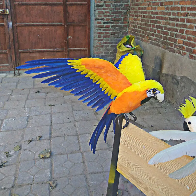 big orange&yellow parrot model simulation foam&feather bird toy gift about 42x60cm