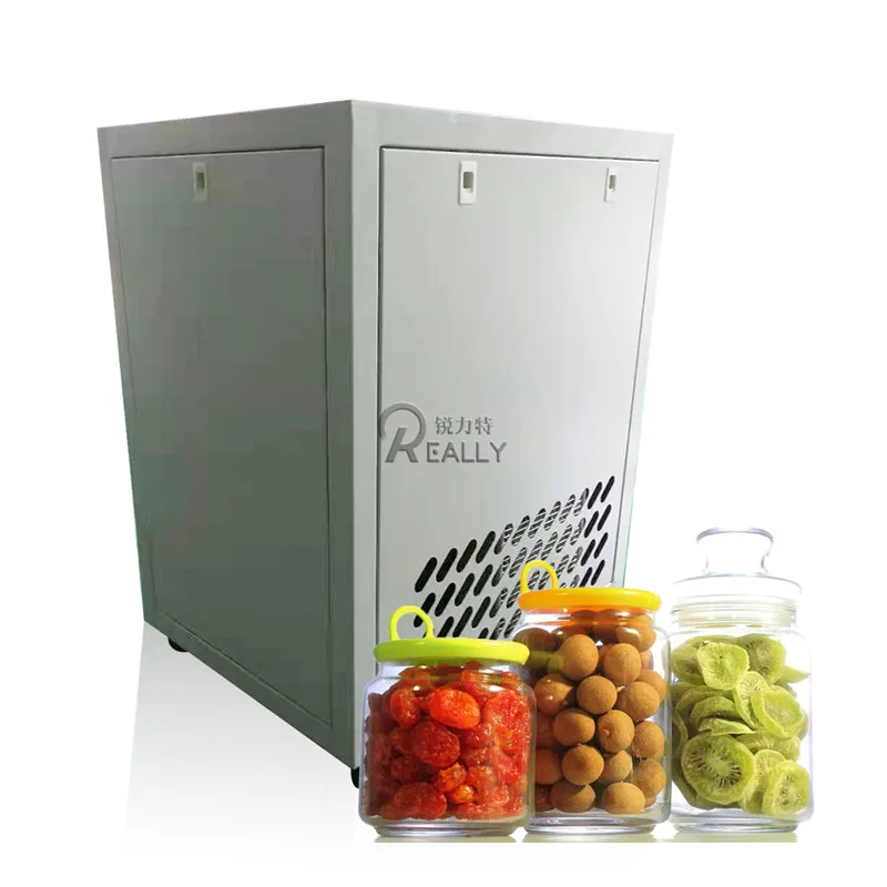 Home Small Freeze Dryer Lyophilization Vegetable Vacuum Food Drying Freeze Dried Machine for Fruit Insect Flower Tea