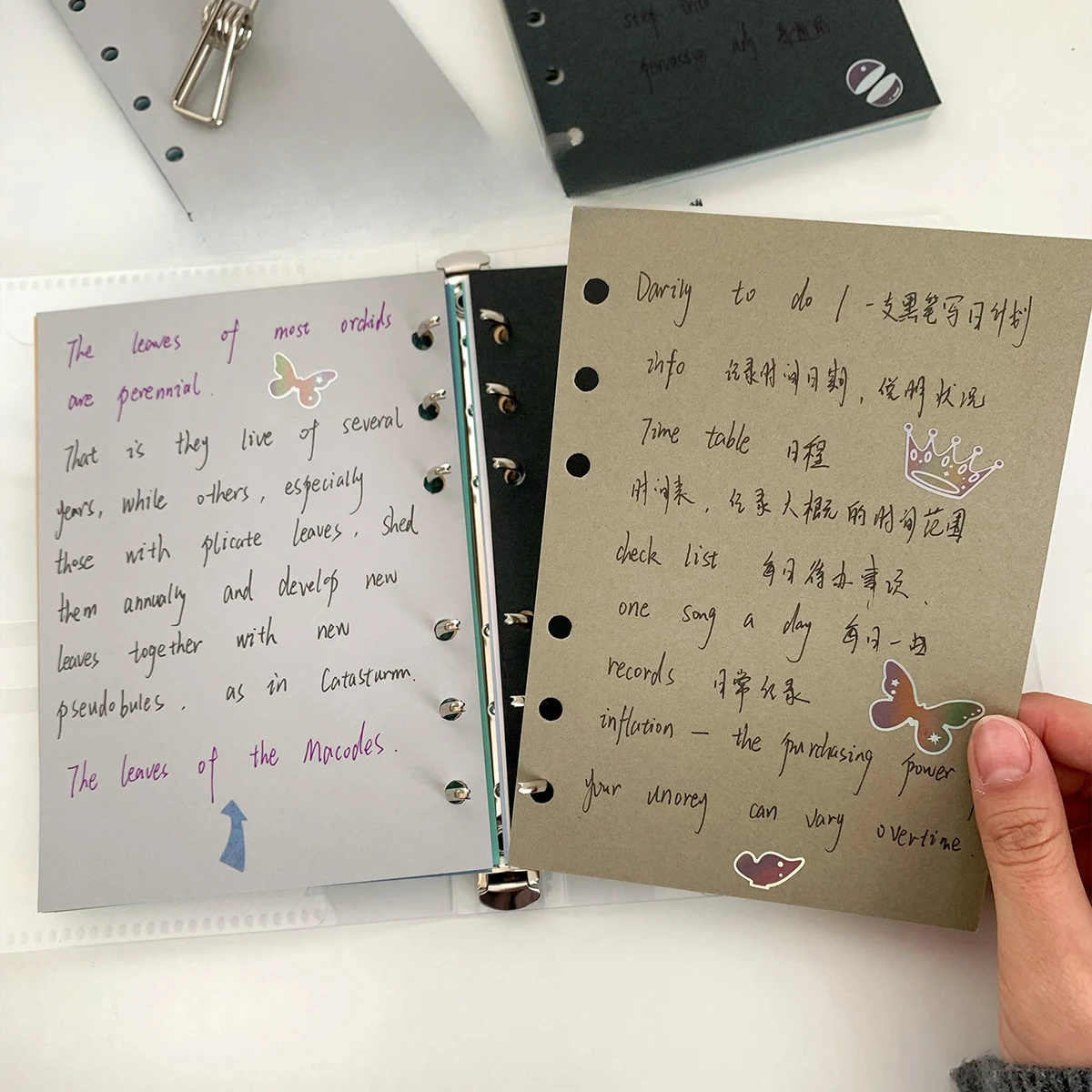 Thumbnail 2 - #50 Trending Index Dividers Right Now