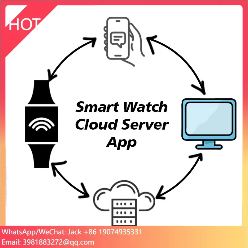 Secure Cloud Server Software Real-Time Data Sync Solution Cloud-Based Netty App For Smartwatch LoRaWAN Devices Data Management