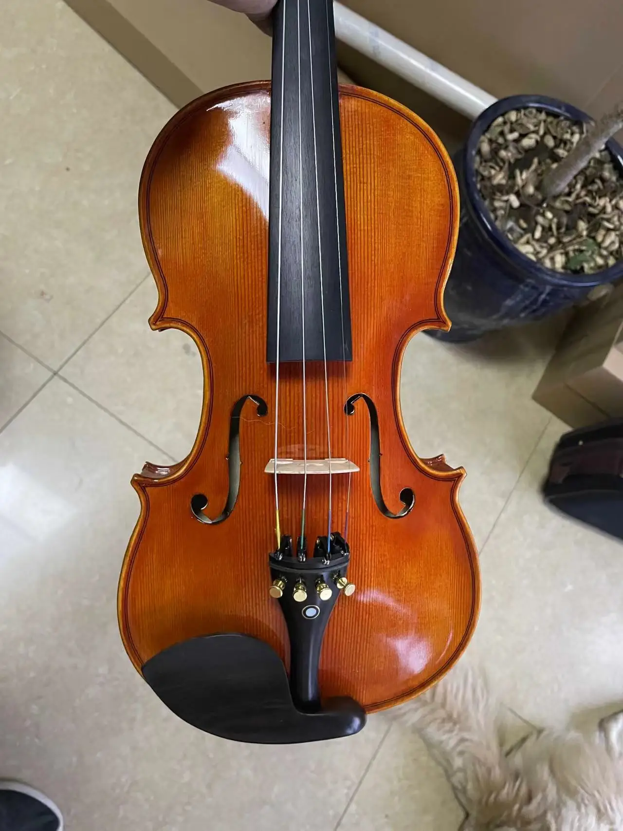 Handmade Advanced Violin, 4/4, Professional Varnish,Natural Flamed Maple,Spruce Plate, Ebony Parts, Bow Case Tuner, High Quality