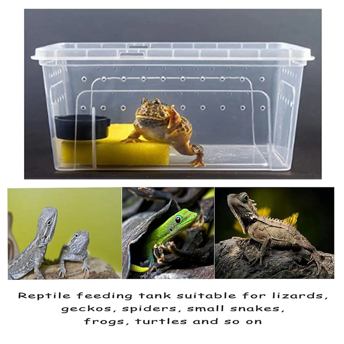 ABDD HOT  Critter Keeper, Cricket Cage & Reptile Feeding Box Transparent Portable Snake Habitat Escape-Proof Ventilated Design