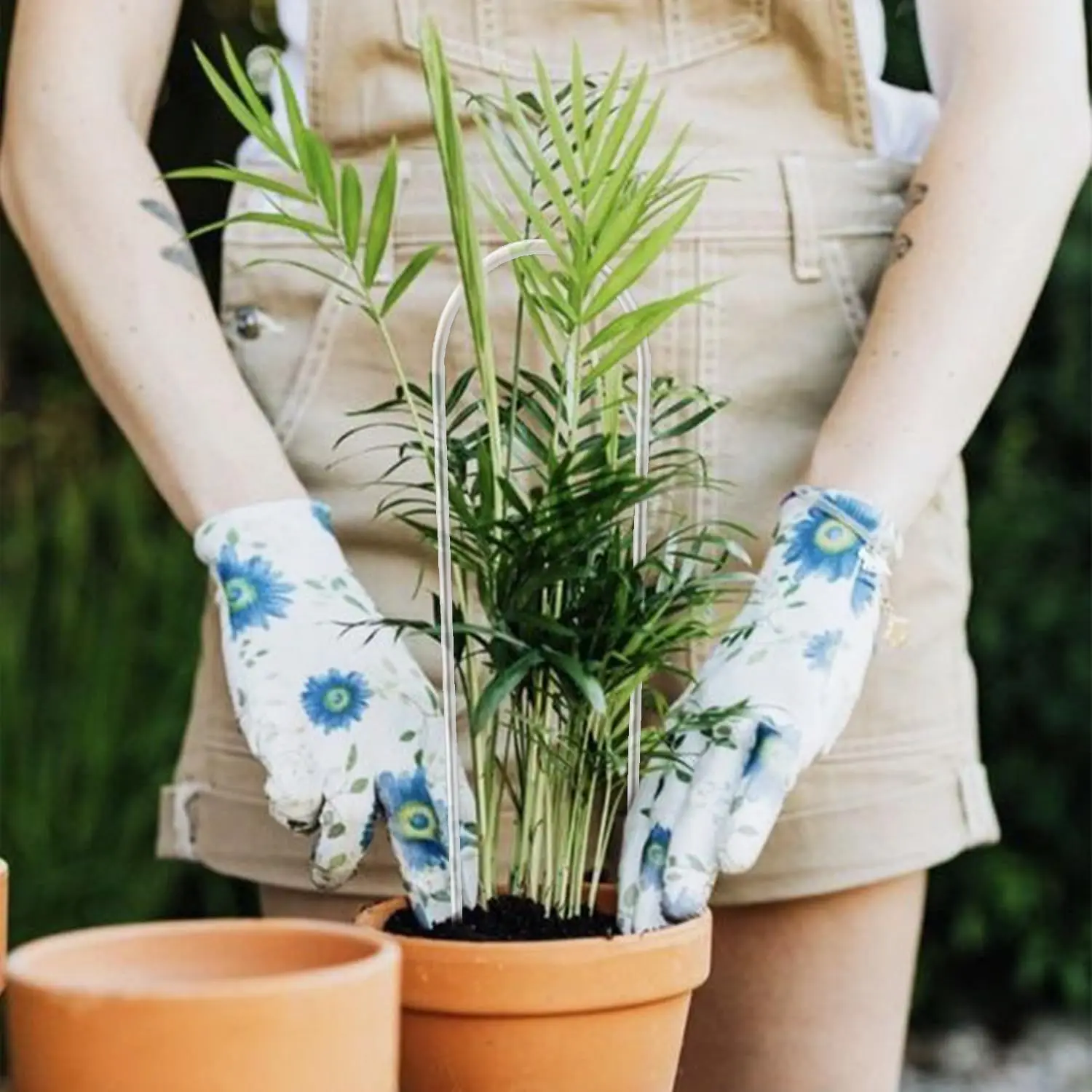 

U-shaped acrylic plant climbing frame, transparent and durable, suitable for indoor vine and flower pot support