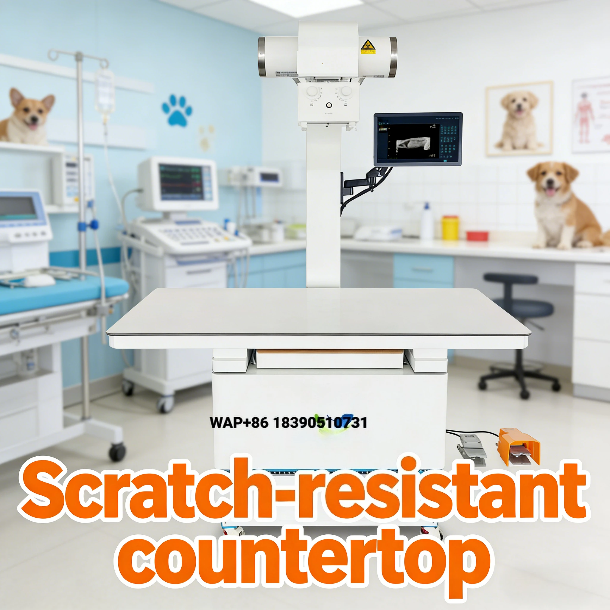 EURVET offers affordable veterinary equipment, medical imaging X-ray cameras, and animal digital X-ray equipment for use in clin