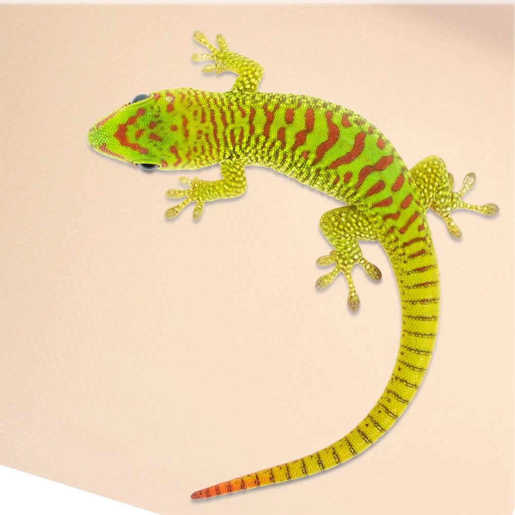 

Reptile Terrarium EVA Mat Protects Glass Container Bedding Terrarium Bedding Tortoise Lizard Tank Accessories Substrate