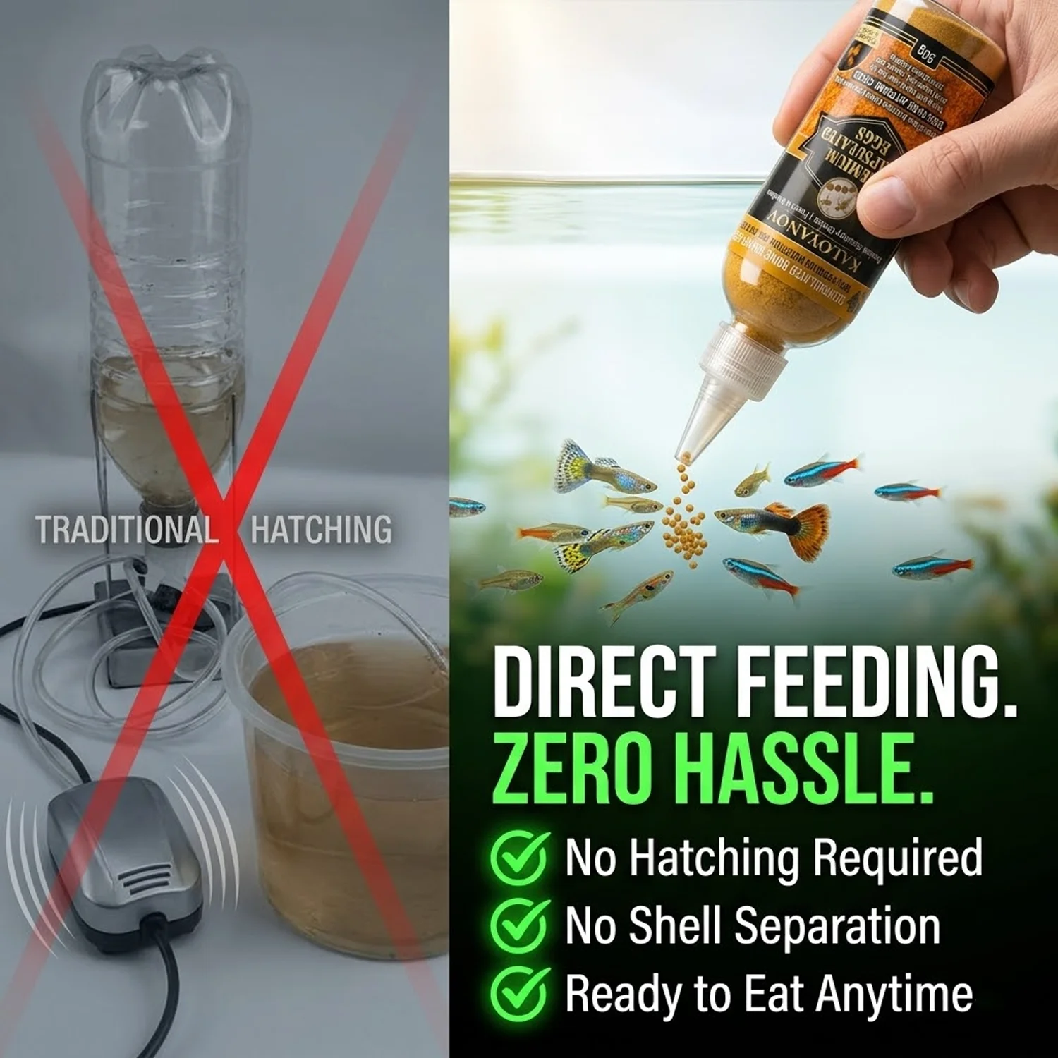 Œufs d'artémias décapsulés de - Aquarium Fish Vitamin avis et prix
