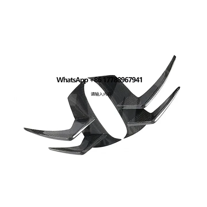 

CARBON FIBER FRONT BUMPER CANARDS for 2016-2019 MERCEDES BENZ AMG GT R