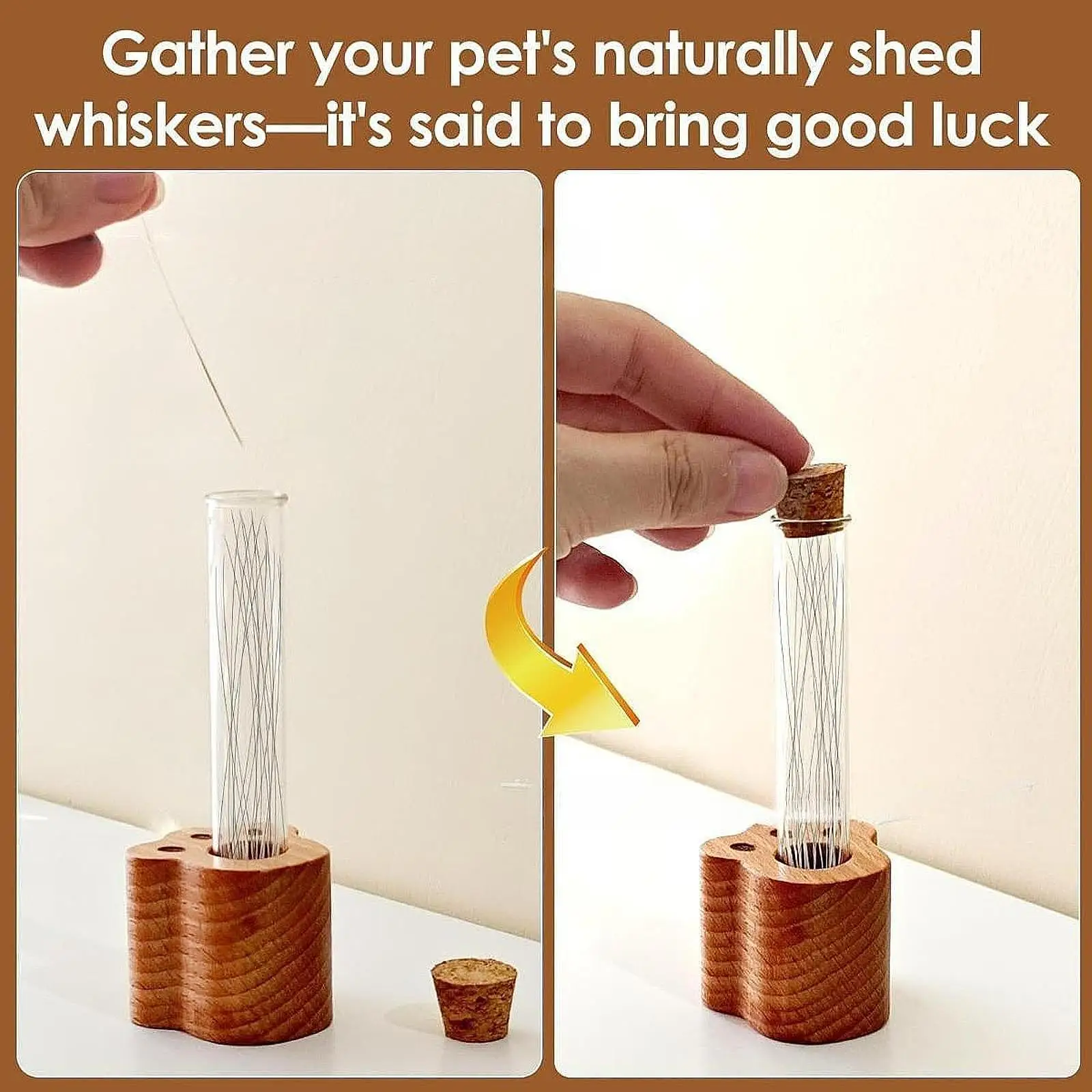 مزهرية على شكل مخلب بقاعدة خشبية وطاولة بجانب السرير بسيطة ومتعددة الاستخدامات بدون أنبوب زجاجي لهدية الحلي ذات المغزى