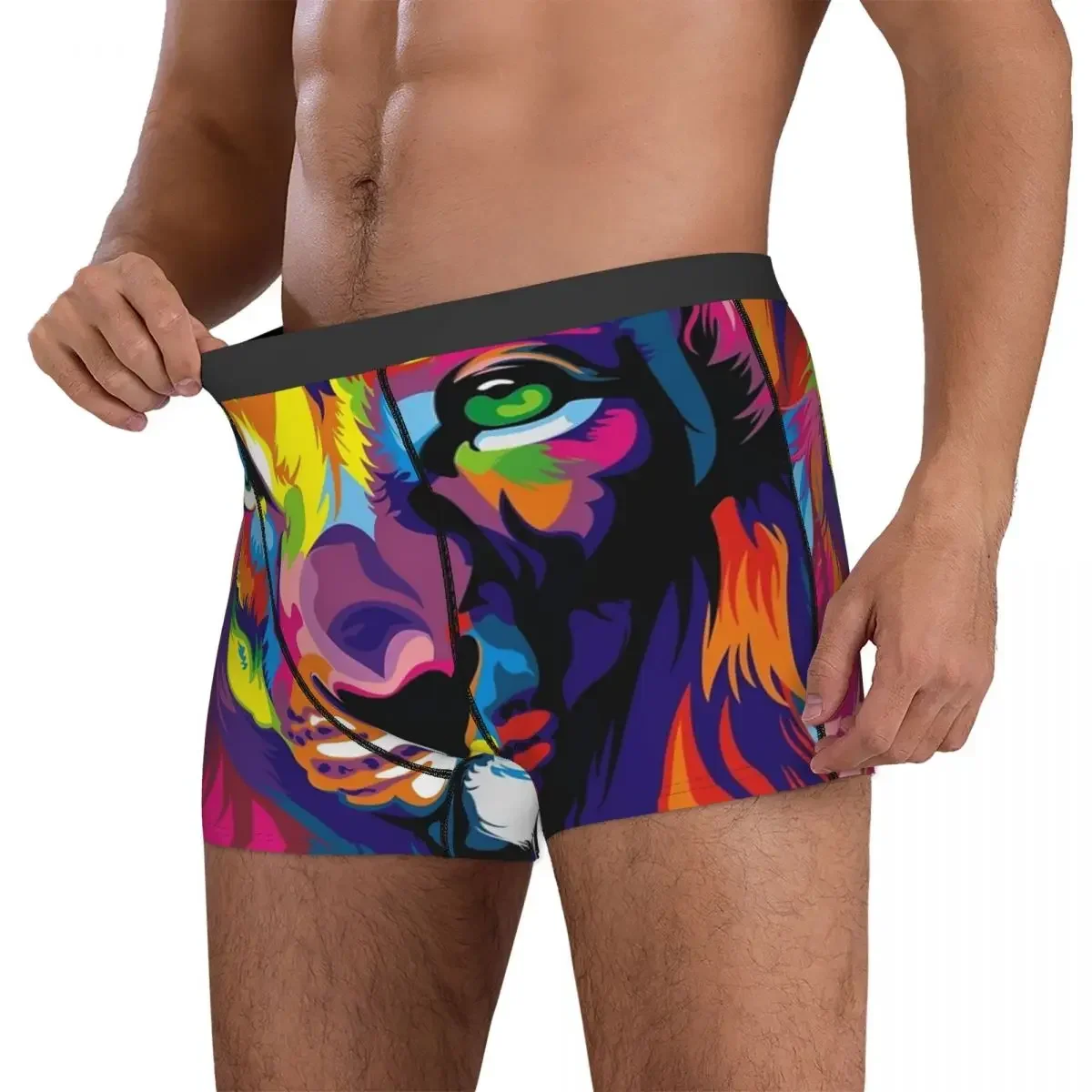 Boxer Unterhose Shorts Banksy Regenbogen Löwe Höschen Männer atmungsaktive Unterwäsche für Homme Mann Freund Geschenk