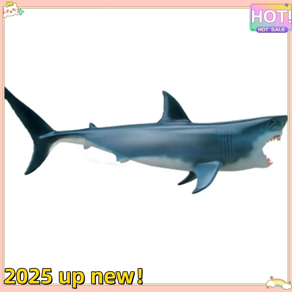 modelo-de-anatomia-de-organos-animales-de-textura-delicada-juguete-de-ensamblaje-de-inteligencia-de-tiburon-4d-modelo-de-anatomia-de-ensenanza-aplicacion-de-ciencia-popular-diy