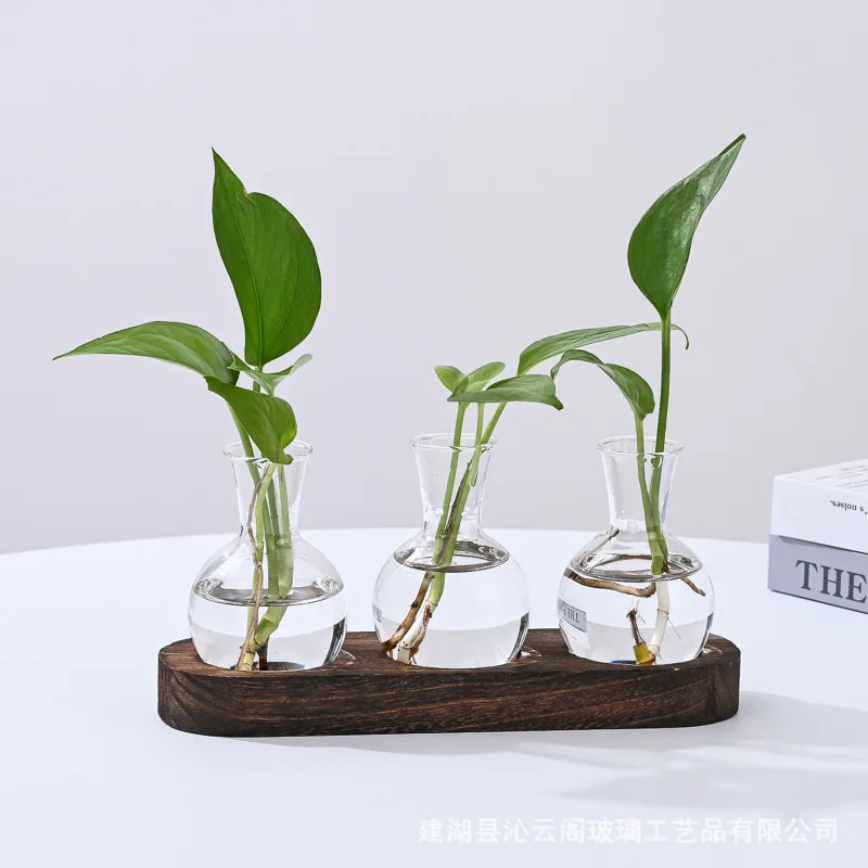 

Hydroponic Glass Vase for Plants, Flowers - Tabletop/Office Decor with Wood Stand - Modern Home Water Planter