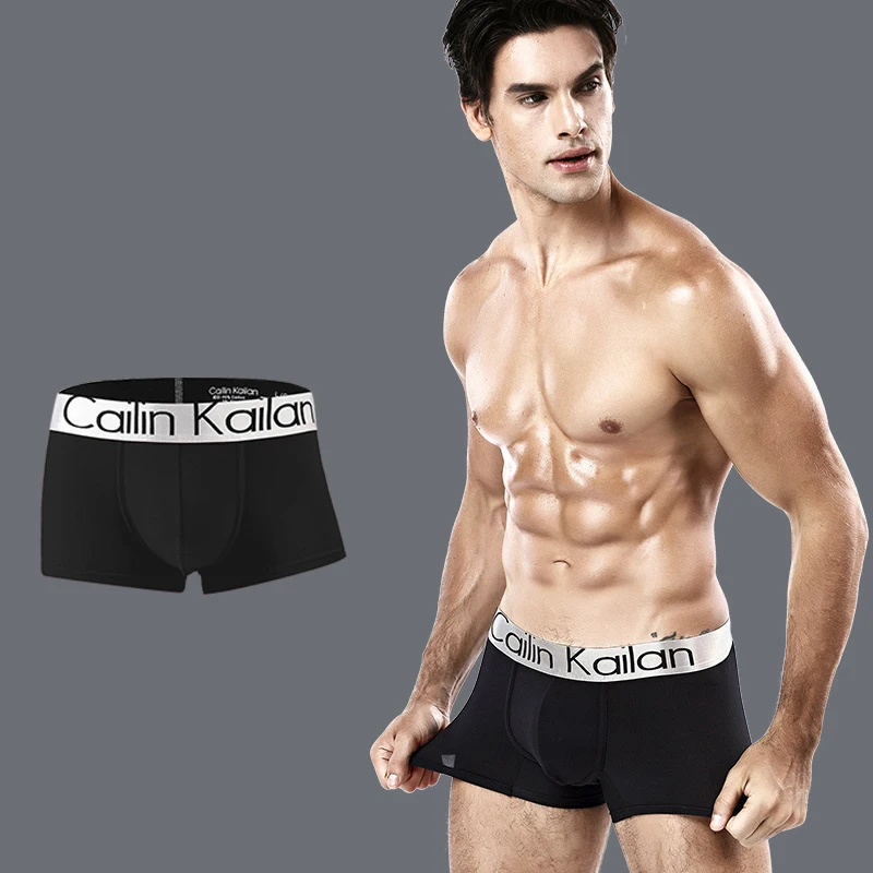 Brand Men Underwear Boxer Silk Mens Underpants Male Panties Boxers Breathable Calzoncillo Hombre Boxershorts Men Drop Shipping