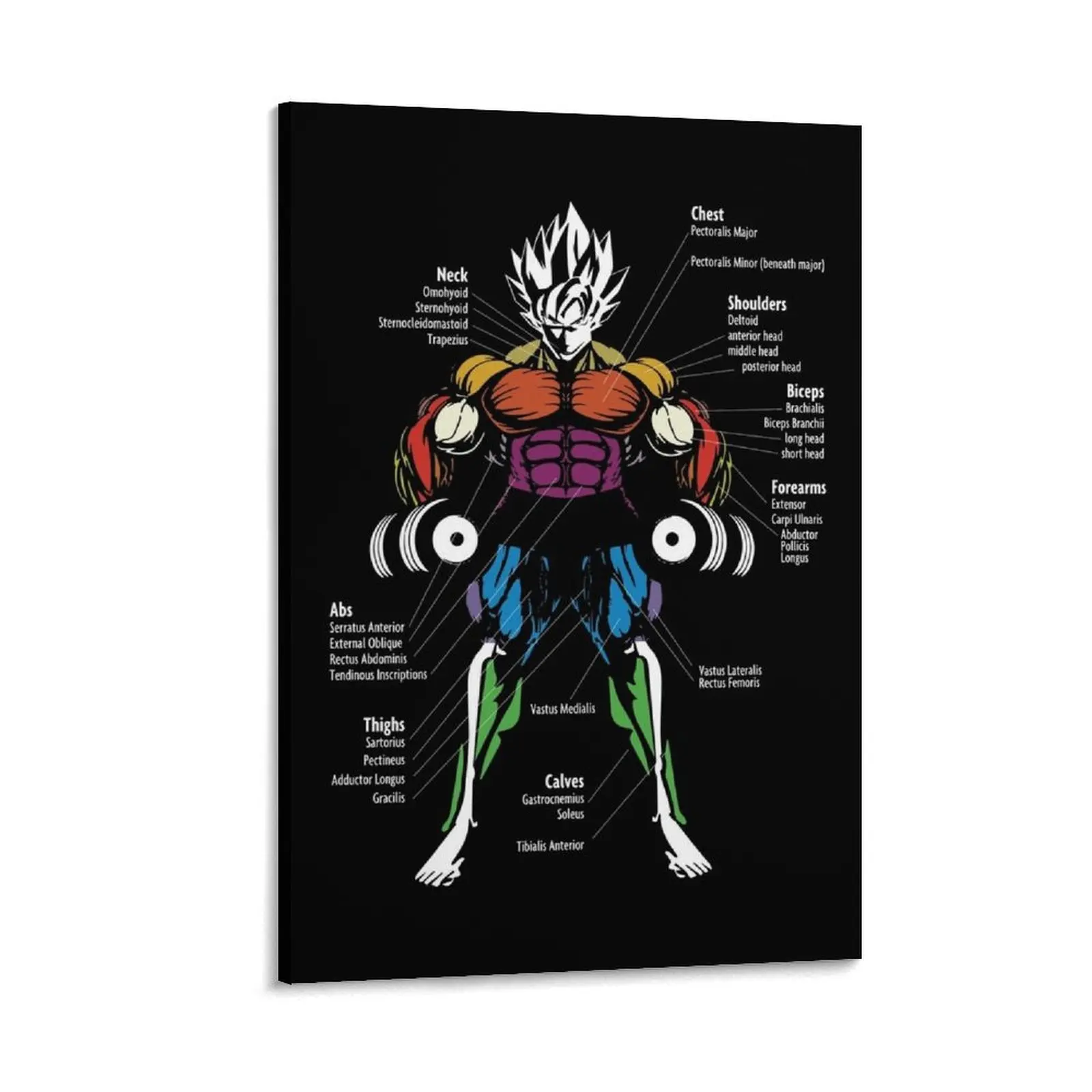 

Anatomy Muscle Chart Diagram Canvas Painting Home decoration home and decoration Decoration bedroom pictures for wall