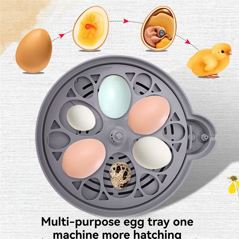 

AB42-EU Plug Poultry Incubator Machine With 6 Egg Capacity - Automatic Temp Control For Chicken, Duck, Quail Eggs