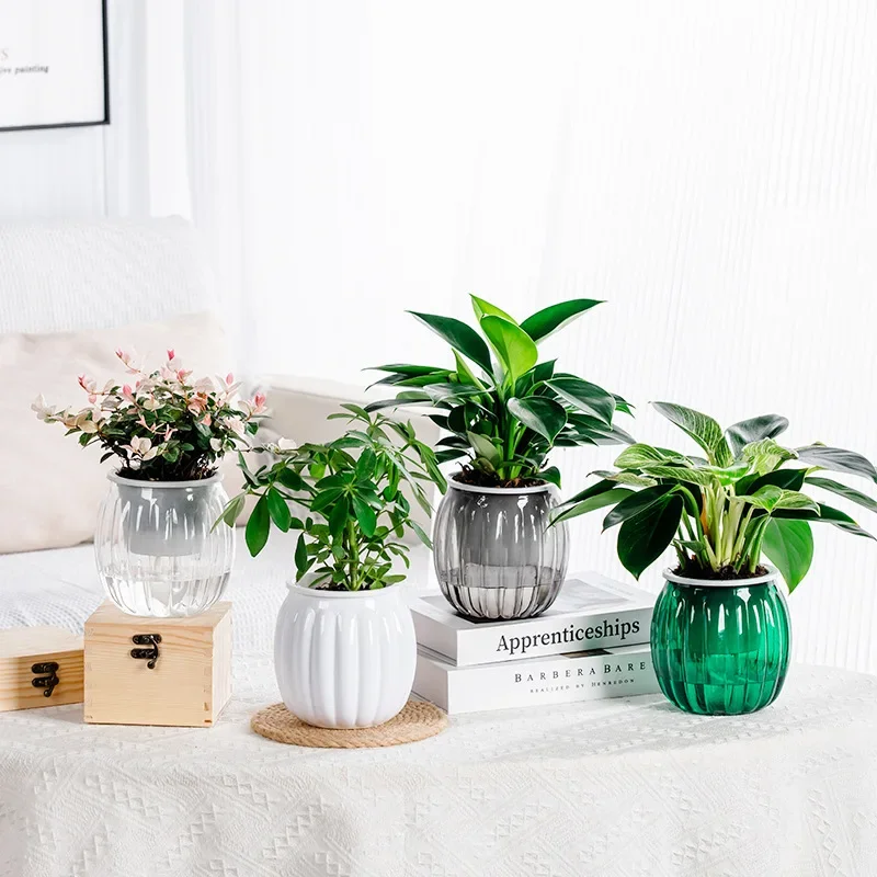 

Mini Self Watering Flower Pot Fish Tank Transparent Plastic Plant Pots Self Watering Planter Pot Vase for Home Decoration