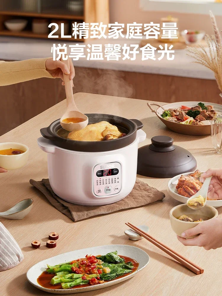 220V Multifunctional Electric Stewpot for Home Use and Health Care with Bird's Nest Mini Electric Stewpot