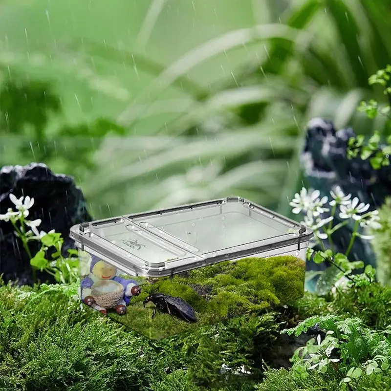 1PCS Reptile Tank Insect Spiders Tortoise Lizard pp Transparent Breeding Box Vivarium Lid Reptile Pet Product