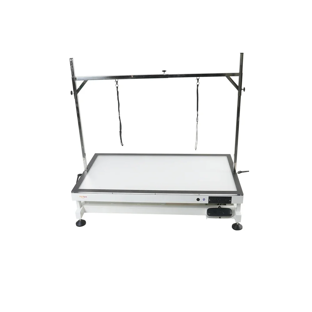 a forShernbao FT-873 New Electric Pet Dog Grooming Table With LED Light